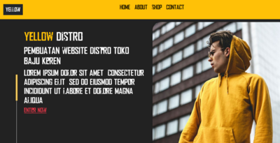 Pembuatan website toko baju distro fashion